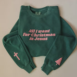 All I want for Christmas is Jesus - Adult Crewneck