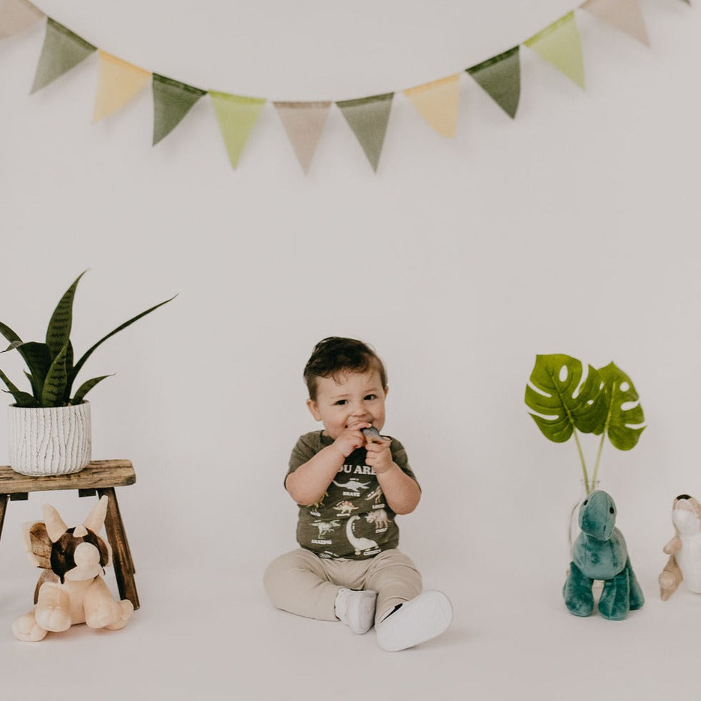 Dino Affirmation Babies - Little & Brave