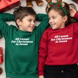 All I Want for Christmas Is Jesus — Toddler Crewneck
