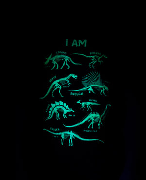 Dino Skeleton Affirmation Words - Glows in the dark!