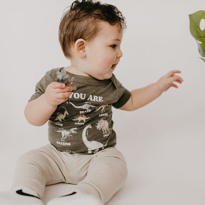 Dino Affirmation Babies - Little & Brave